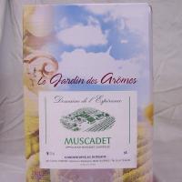 Muscadet