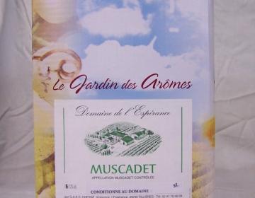 Muscadet